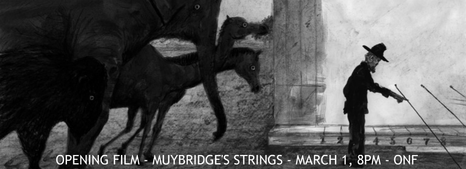 MUYBRIDGE’S STRINGS